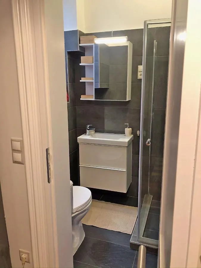 Modern Comfort In Historical בודפשט