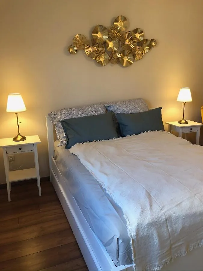 Modern Comfort In Historical בודפשט דירה